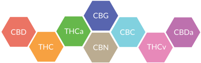 Cannabinoids – CBD – THC – CBC – CBG – CBDa