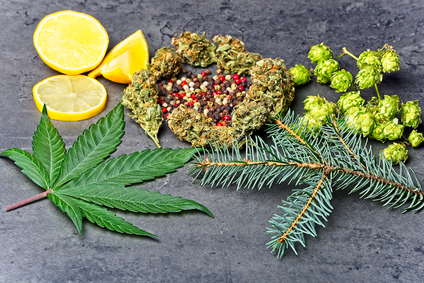 cannabis bud leaf hoppy pepper