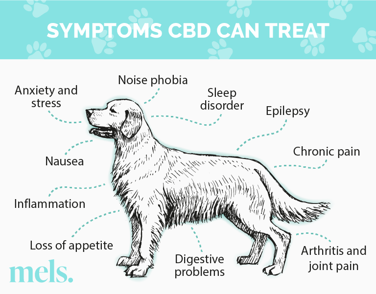 Symptoms cbd can treat