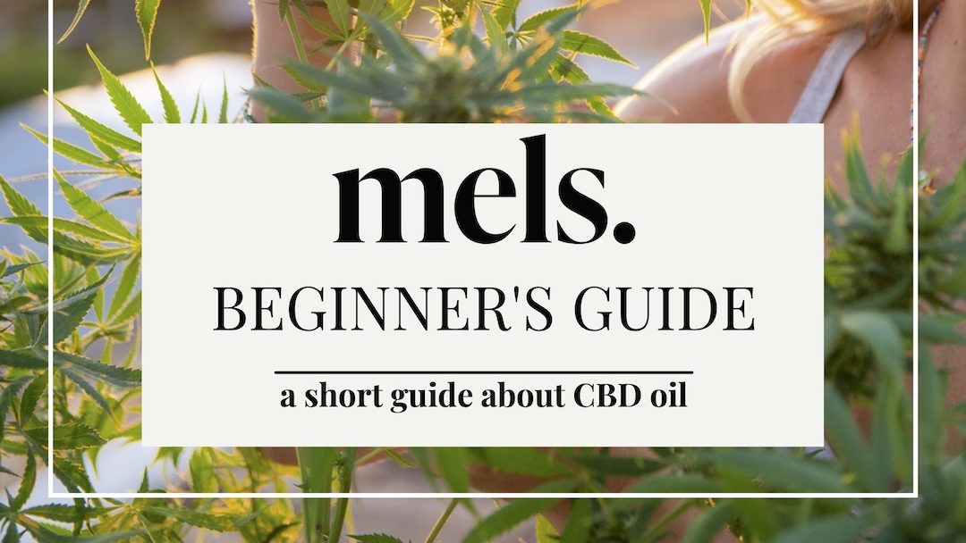 MELS CBD Beginners guide