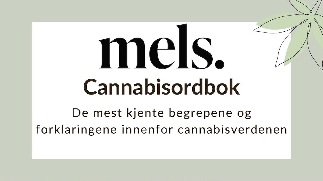 MELS cannabisordbok